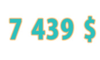 Don Societe Canadienne Du Cancer